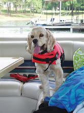 Daisy Dog