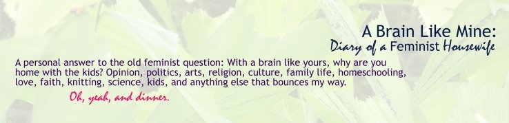 A Brain Like Mine: Diary of a Feminist Housewife