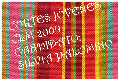 Cortes Jóvenes CLM 2009, candidato Silvia Palomino