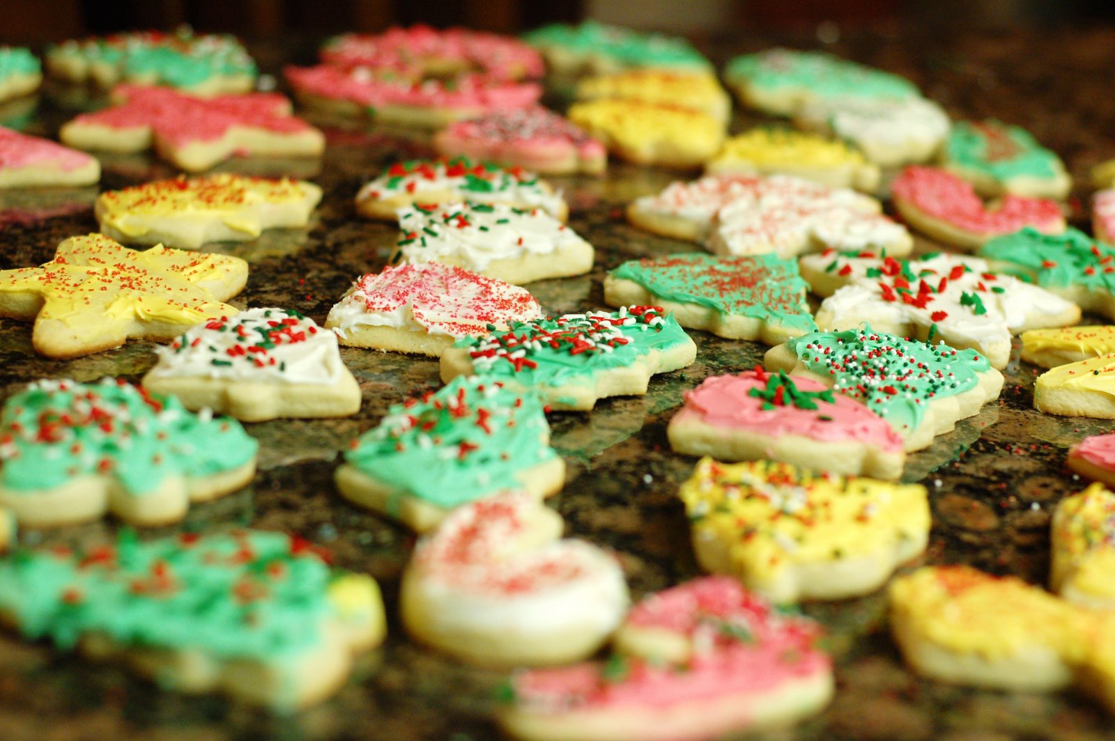 [DSC_0044+copy+3.jpg]