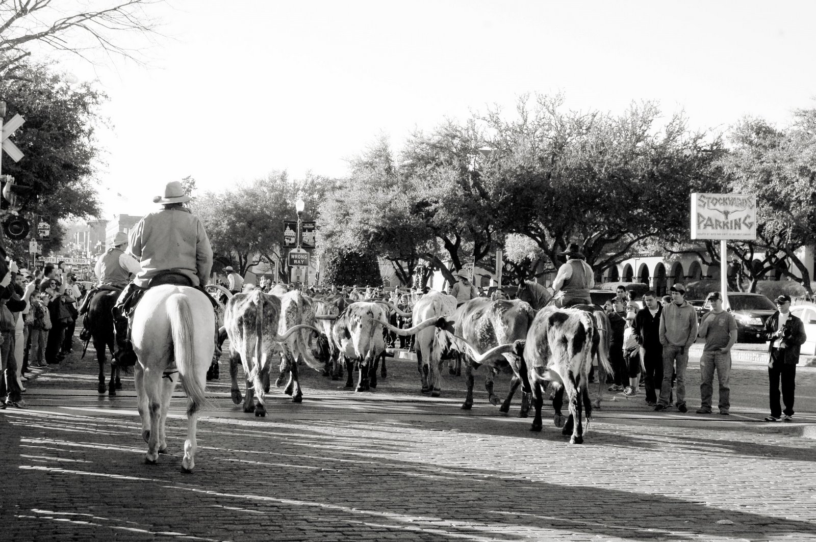 [DSC_0128+copy+2.jpg]