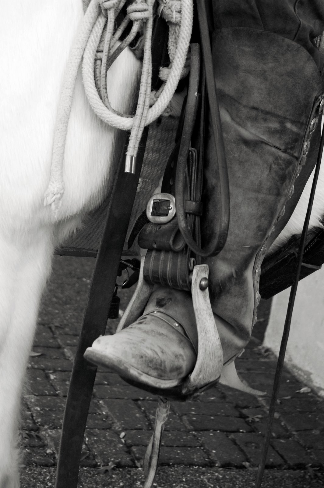 [DSC_0137+copy+2.jpg]