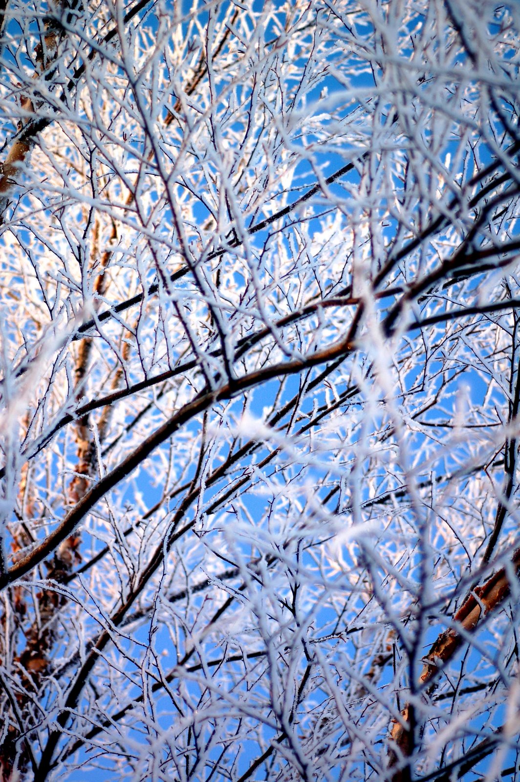 [DSC_0002+copy+2.jpg]