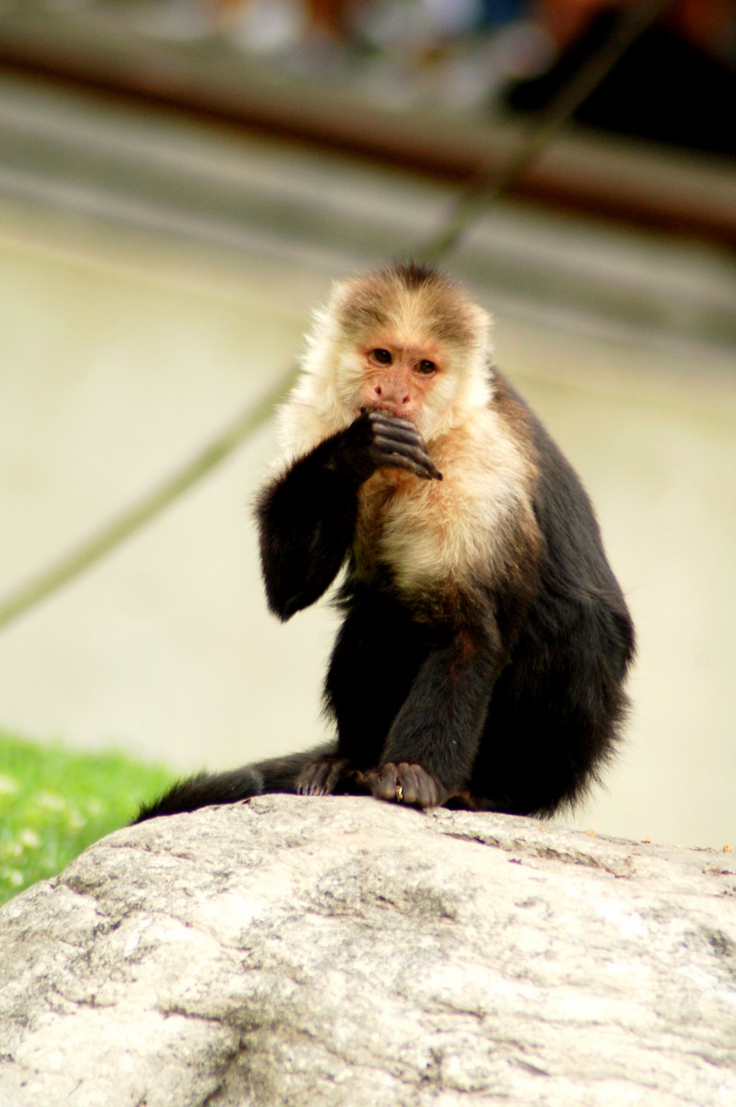 [DSC_0065+copy+2.jpg]