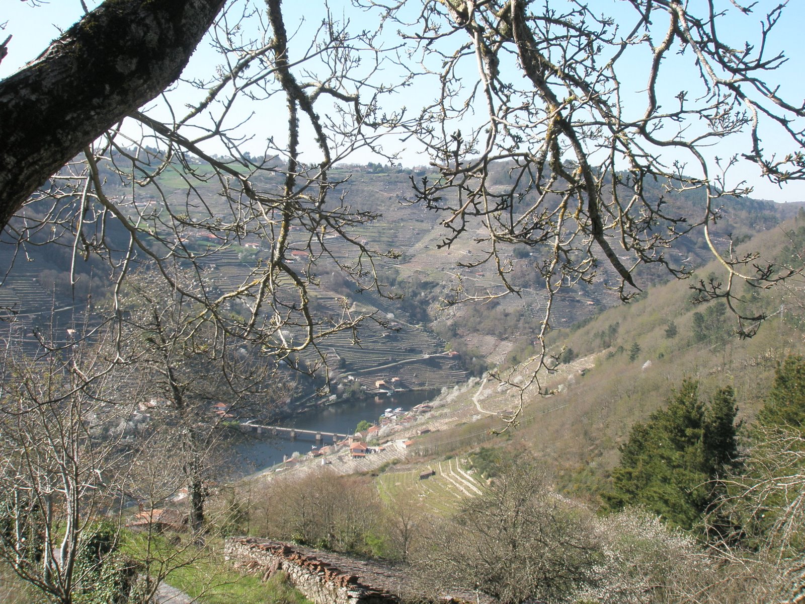 [P3190026.JPG]
