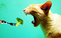 Creative Arts of Animals