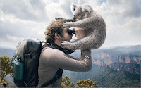 Creative Arts of Animals