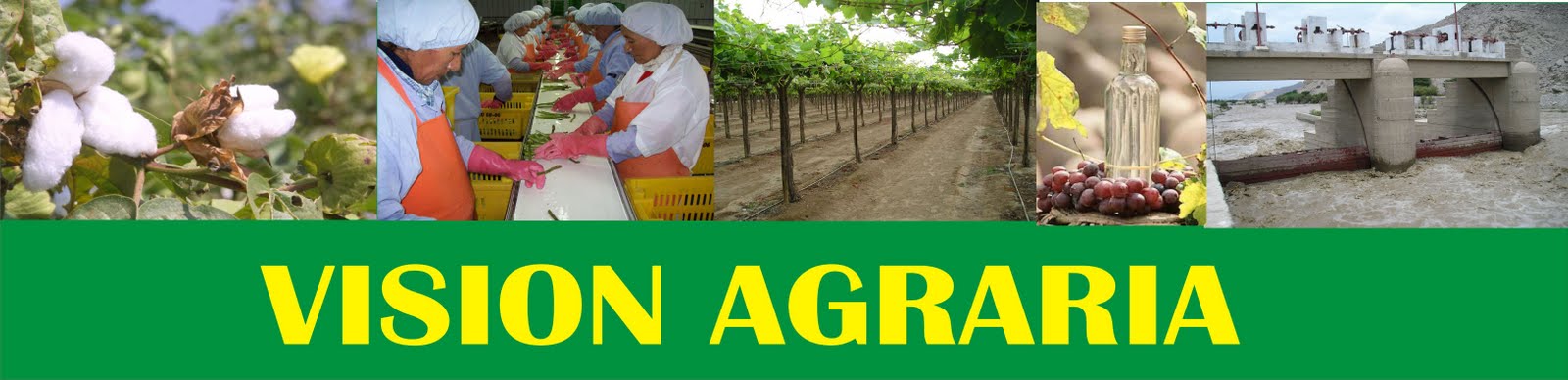VISION AGRARIA