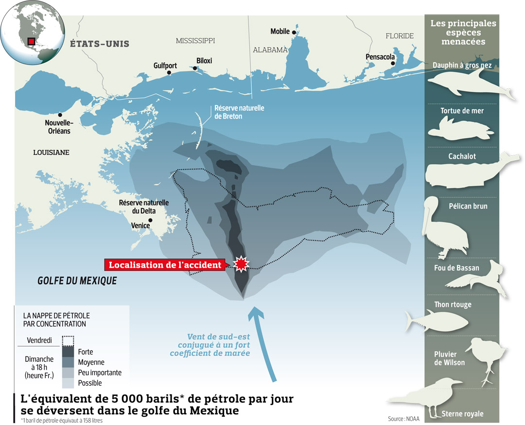 BioDiversité L'histoire de la vie La marée noire