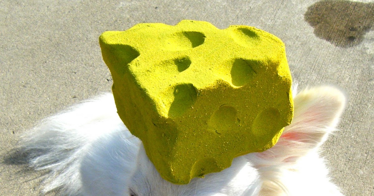 Sew DoggyStyle Make a Cheesehead Hat!