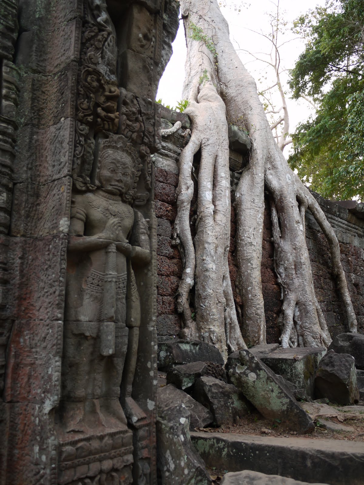 [AW-stat+with+tree.JPG]