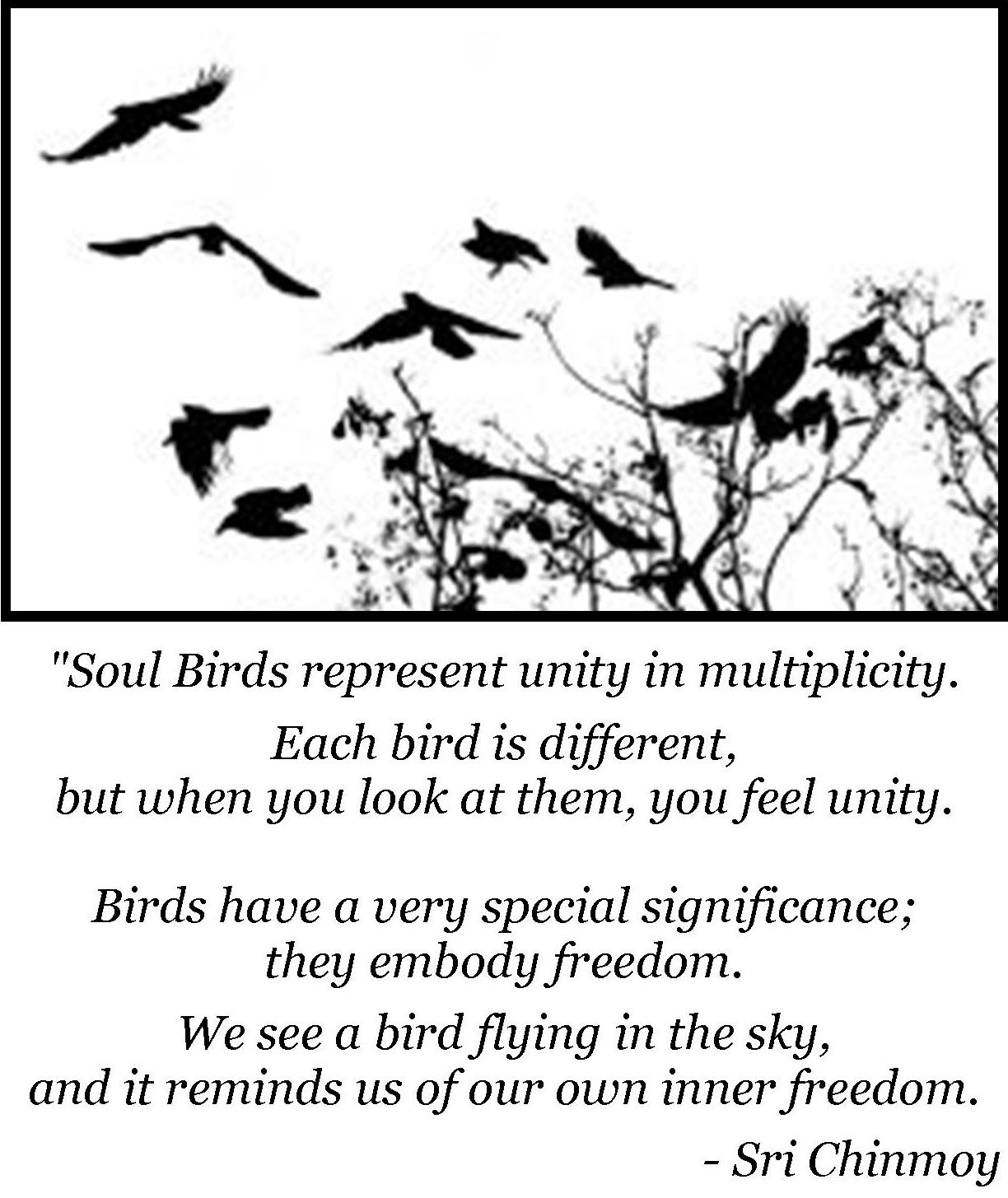 Bird Beak Types