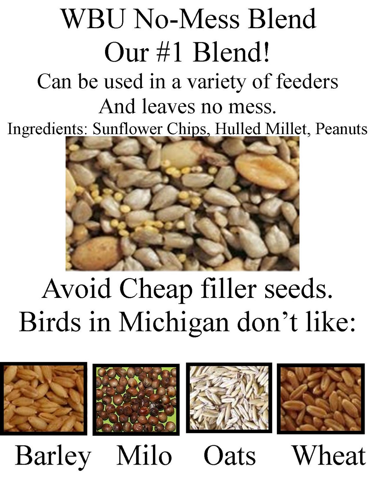 seed pictures