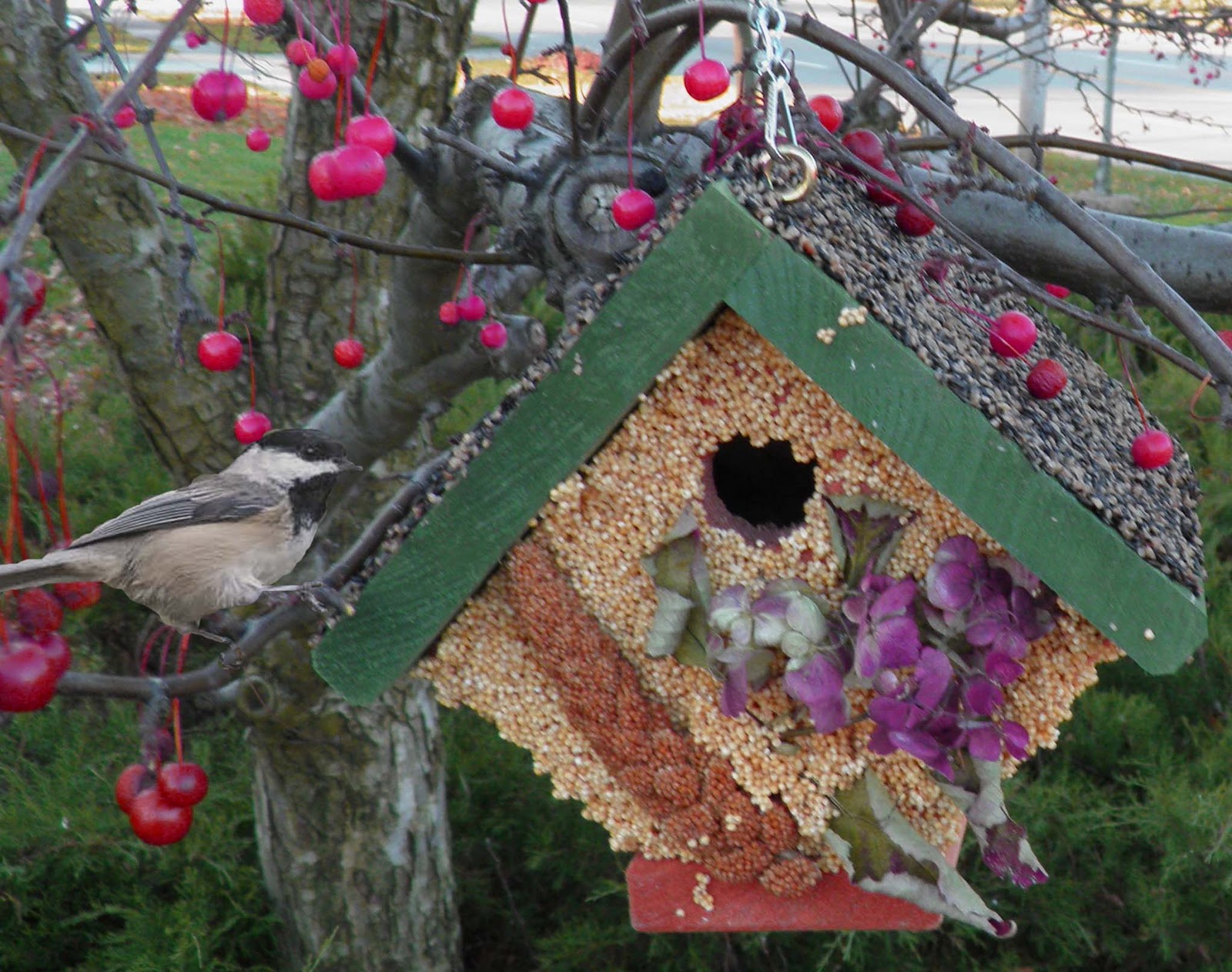 FeedtheBirds 1 Unique Gifts for You and the Birds