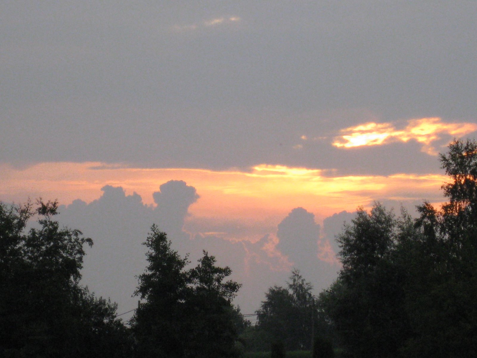 [IMG_0874.JPG]