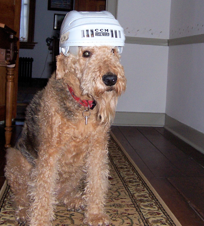 Funny+slipping+on+ice