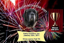 MangoMinster 2011