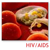 minda bebas 010 PENYAKIT DAN UBATUBATAN SINTETIK