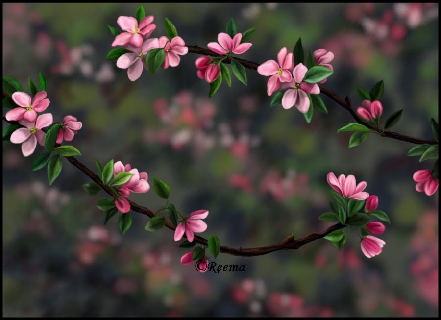 [blossom+copy22.jpg]