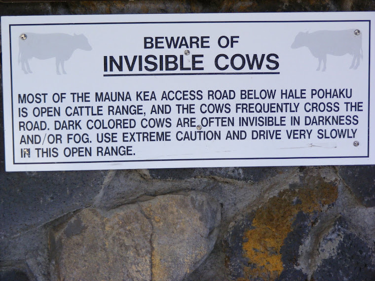 !Beware! Invisible cows