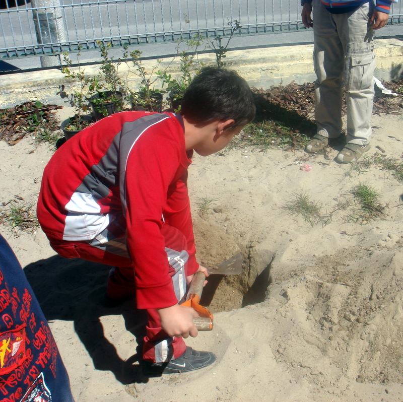 [DSC04434.JPG]