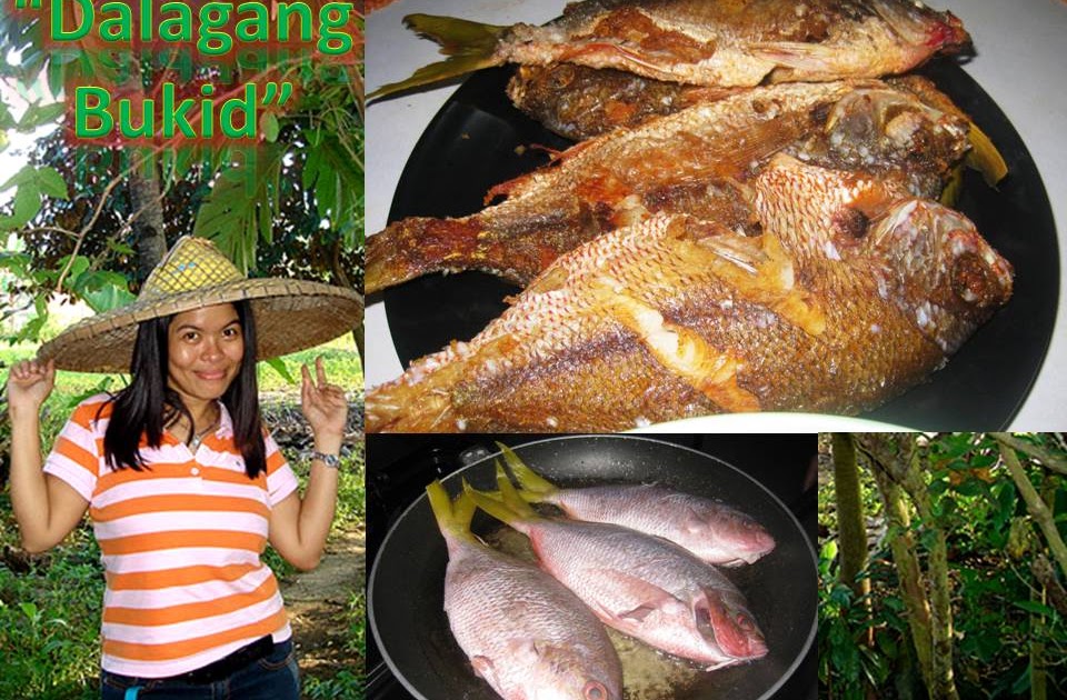 Cheers Food and Philippines Yellow Tail Fusilier (Pritong Dalagang Bukid)