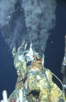 [ANTARCTIC+HYDROTHERMAL+VENT.jpg]