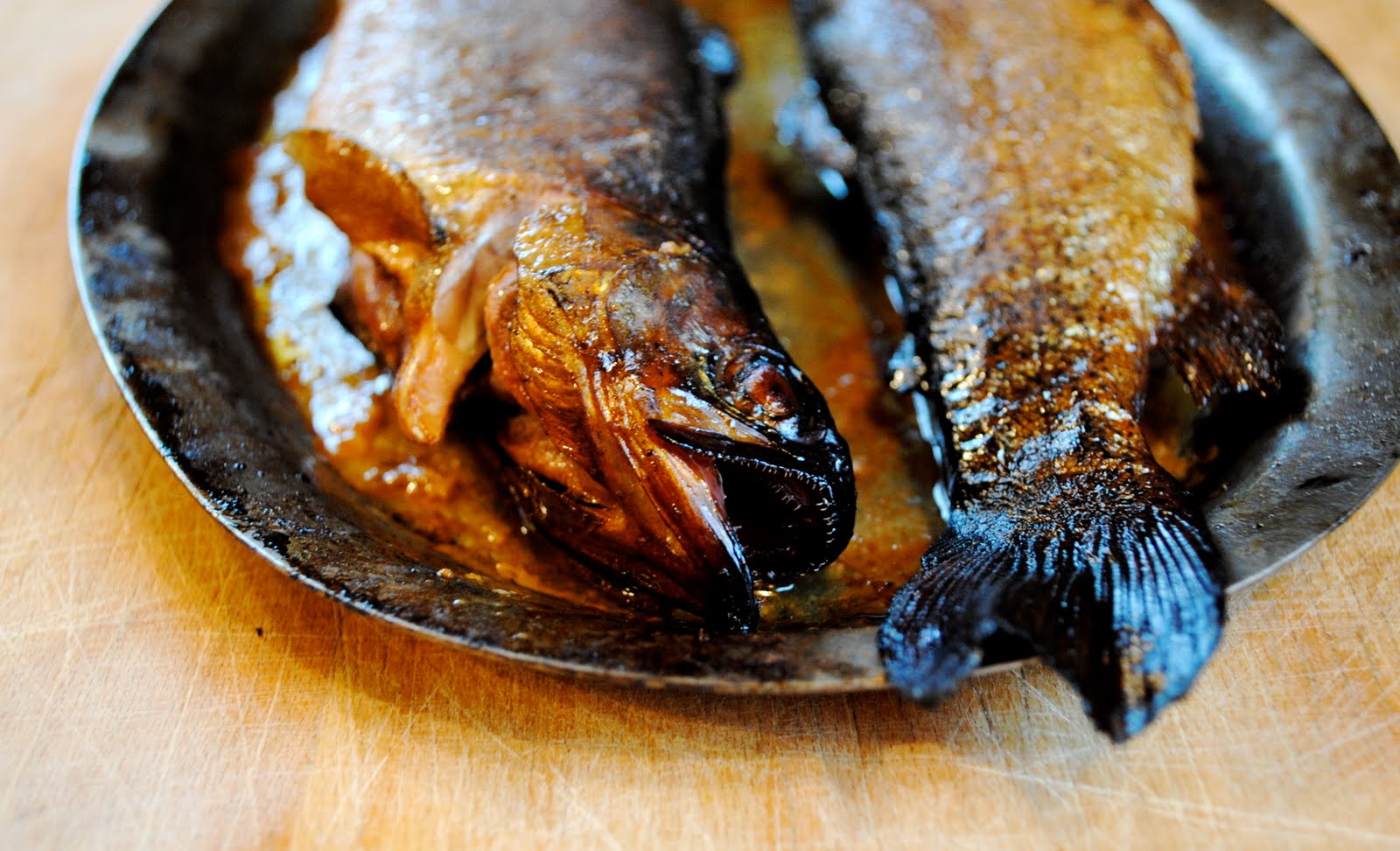 Make Delicious Happen Smoked Trout