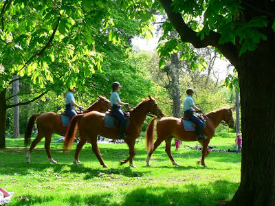 chevaux+au+bois+de+boulogne