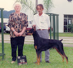 J.Ch., Ch., Gr.Ch, Ch. Pan, BIS, BISS Astro de J.I.F.