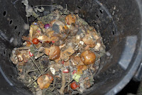 Inside of Composting Can in Iowa City