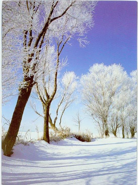 [zahra++++زهرا005.jpg]