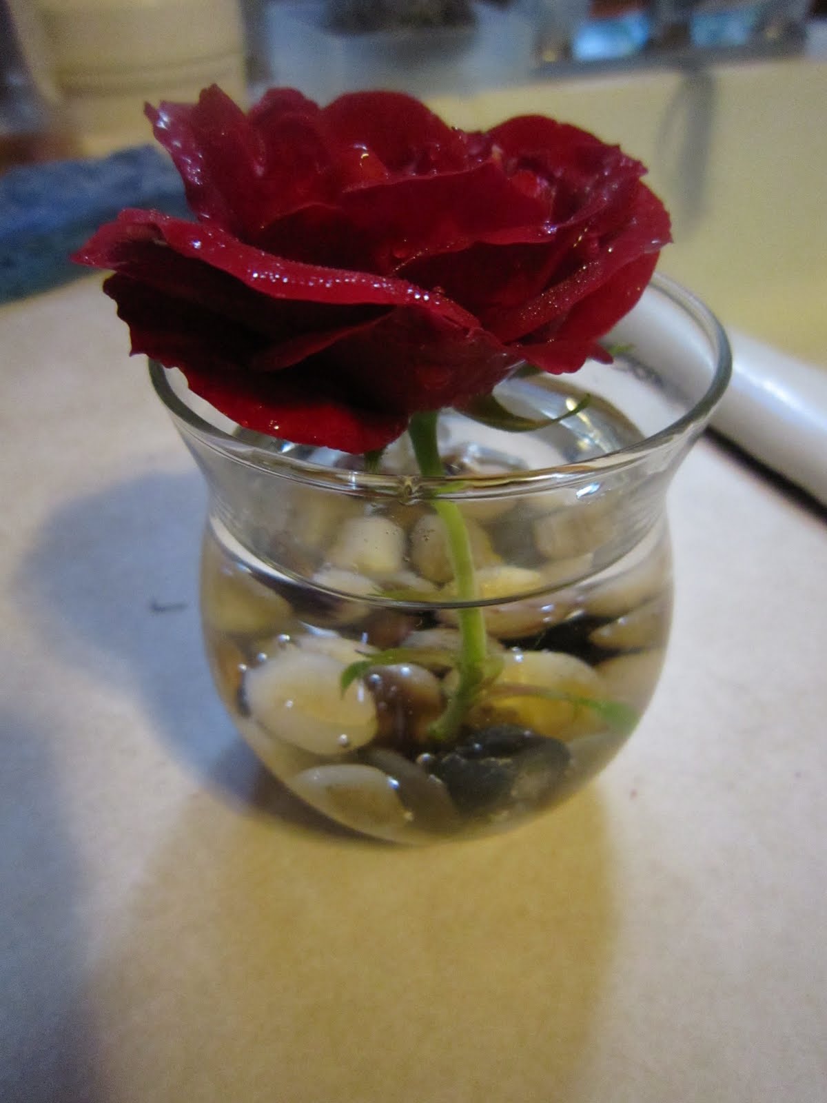 Chuck Does Art Wedding Shower Favors Rose in Small Vase