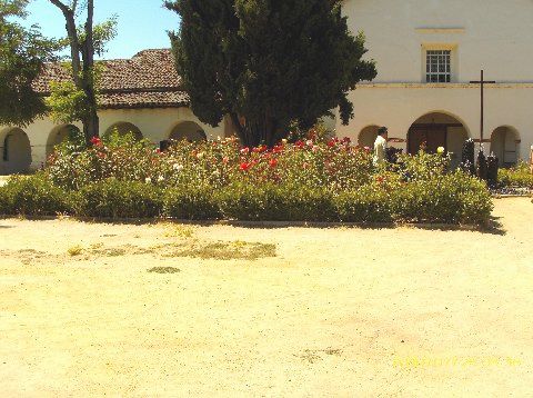 Rose Garden in mission courtyard...