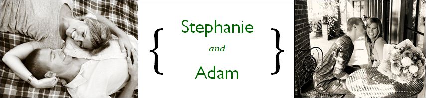 Steph & Adam