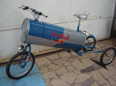 frigocicletta Redbull