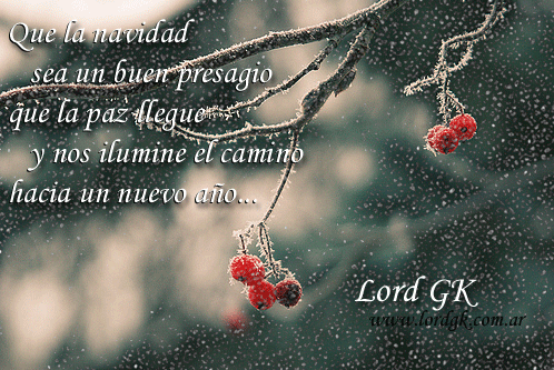 [navidad.gif]