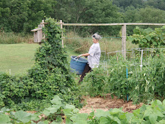 Chili hard at work