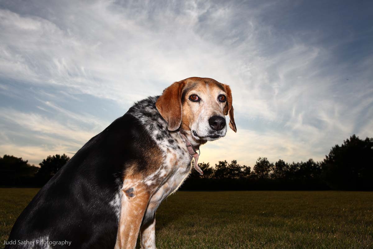 [horsesblog+(1+of+4).jpg]