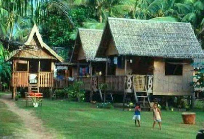 Fact or Frequency of Something Happening: nipa huts