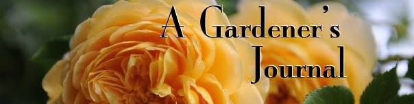 A Gardener's Journal