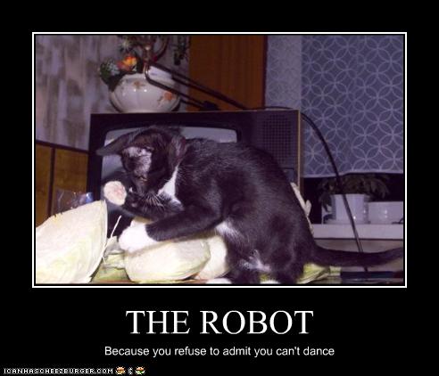 funny-pictures-cat-dances-the-robot.jpg