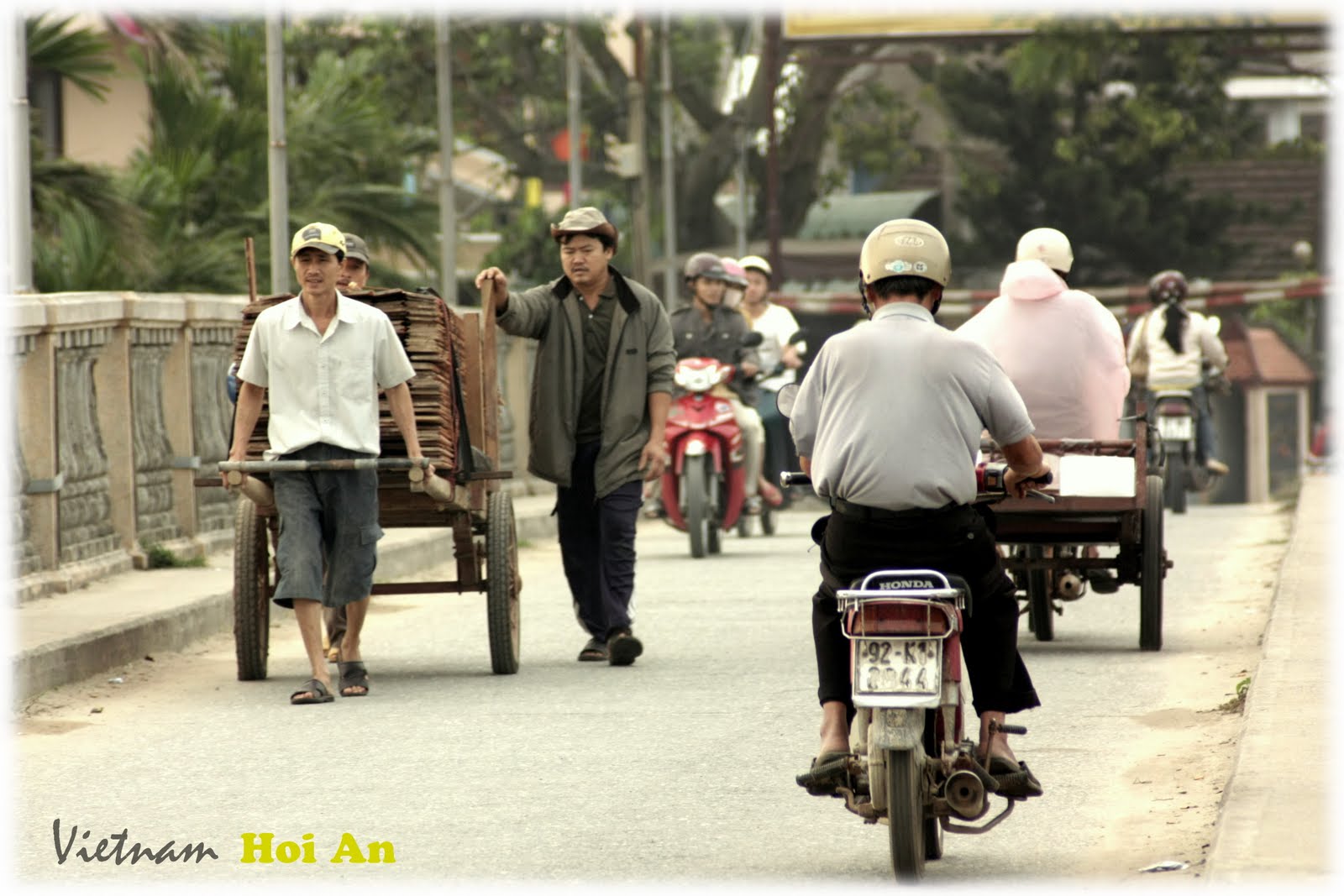 Answering the call from Vietnam...... Life Being a Parasite