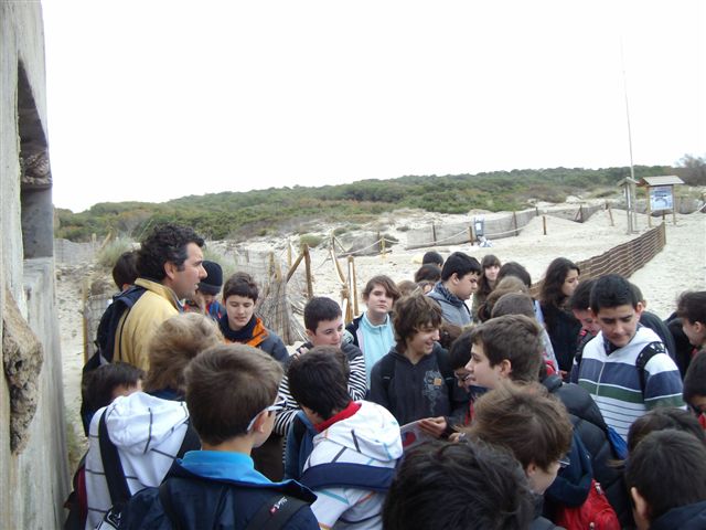 [ALIM3641.JPG]