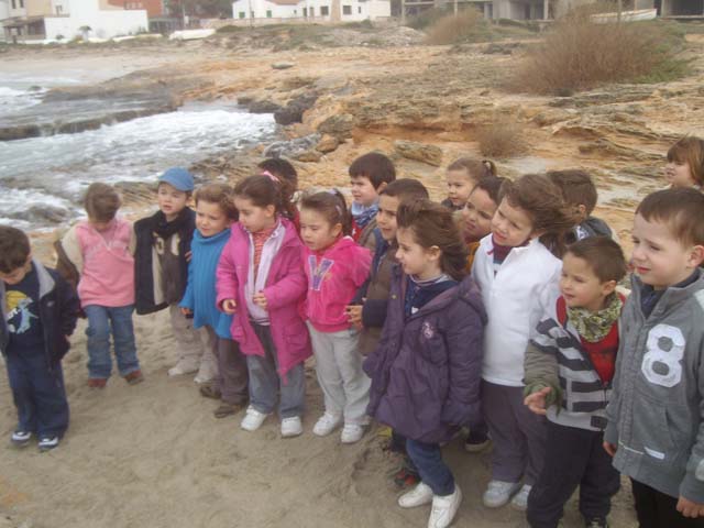 [ALIM3684.jpg]