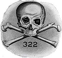 skull and bones