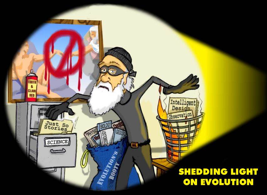 [BM-Shedding-Light-on-Evolution.jpg]