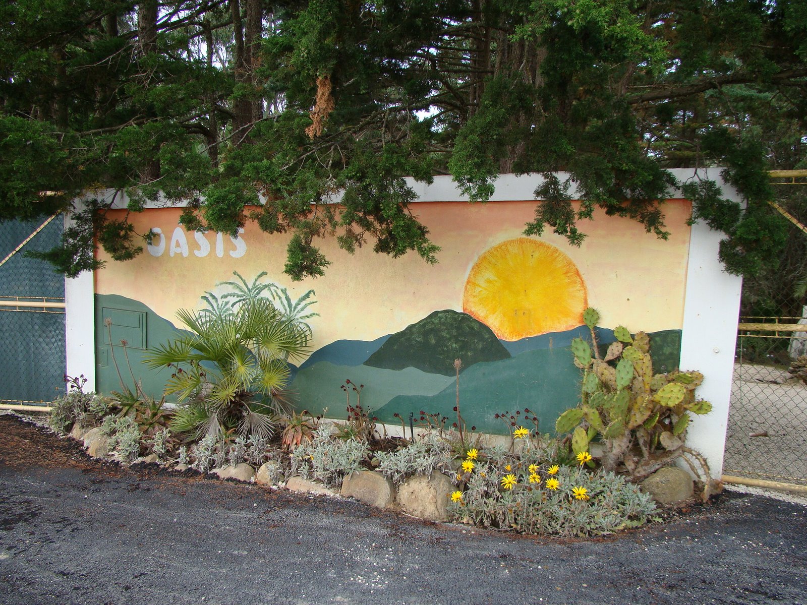 [DSC00342.JPG]