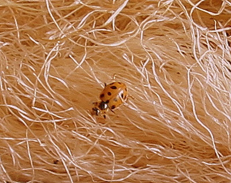 [ooooooooooooooooooooo.jpg]