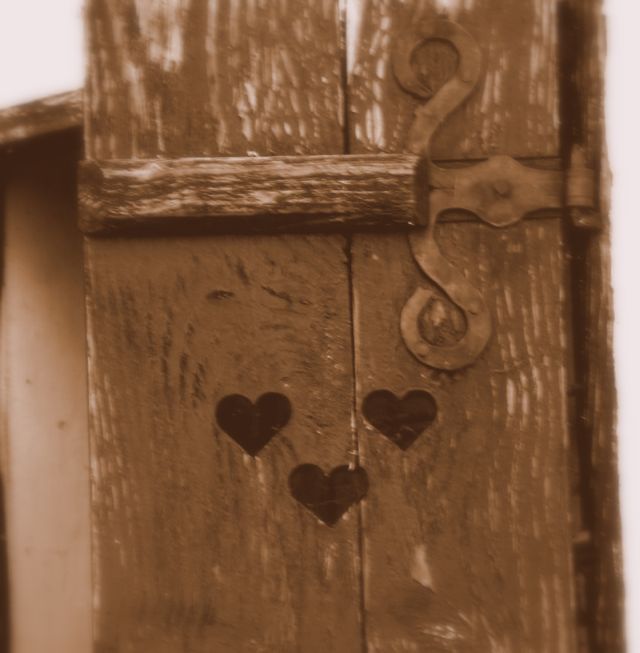 [ssssssssssssssssss.jpg]